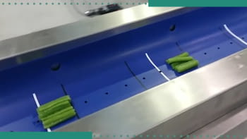 FDA conveyor belt with “U” shape