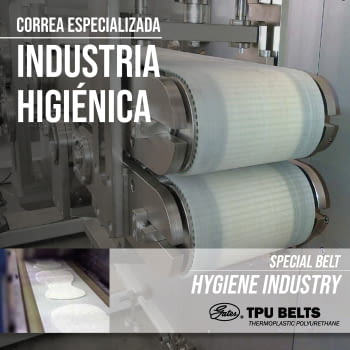 SOLUCIONES EN LA INDUSTRIA HIGIÉNICA